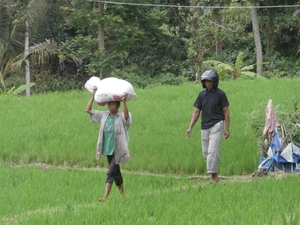 bali en lombok 362