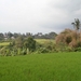 bali en lombok 363