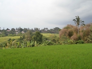 bali en lombok 363