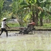 bali en lombok 393