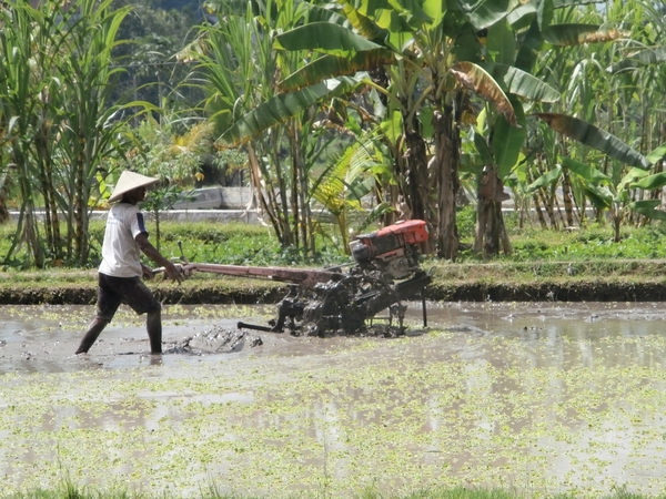 bali en lombok 393