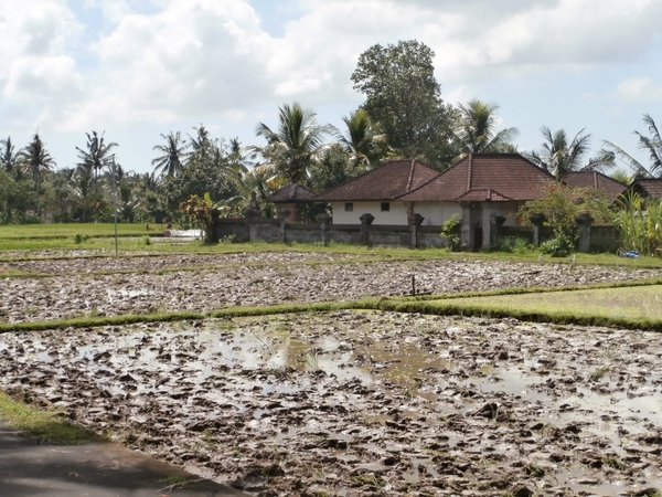 bali en lombok 394