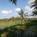 bali en lombok 401