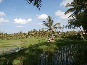 bali en lombok 401