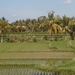 bali en lombok 402