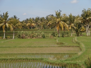 bali en lombok 402