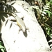 bali en lombok 406