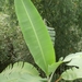 bali en lombok 408