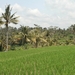 bali en lombok 410