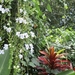bali en lombok 411