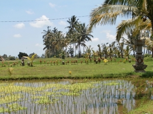 bali en lombok 413