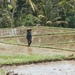 bali en lombok 416