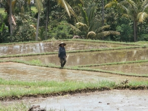 bali en lombok 416