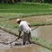 bali en lombok 417