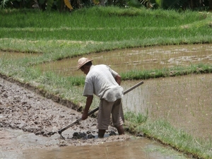 bali en lombok 417