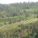bali en lombok 439