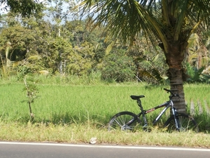 bali en lombok 456