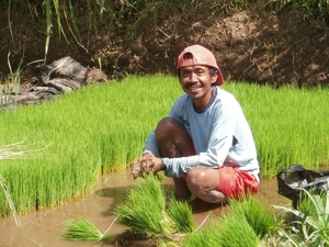 bali en lombok 457