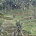 bali en lombok 480