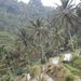 bali en lombok 481
