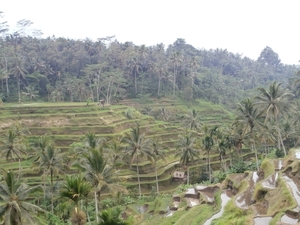 bali en lombok 482