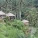 bali en lombok 483