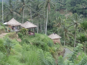 bali en lombok 483