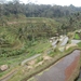 bali en lombok 486