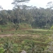 bali en lombok 487