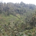 bali en lombok 491