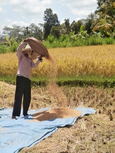 bali en lombok 516