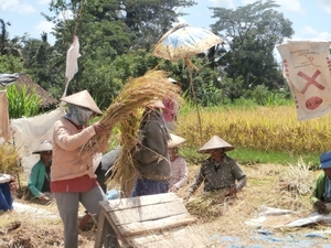 bali en lombok 517