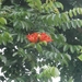 bali en lombok 547