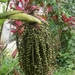 bali en lombok 553