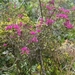 bali en lombok 580
