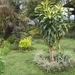 bali en lombok 585