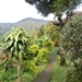 bali en lombok 588