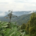 bali en lombok 592