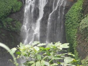 bali en lombok 633