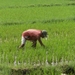 bali en lombok 652
