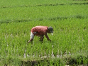 bali en lombok 652