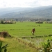 bali en lombok 653