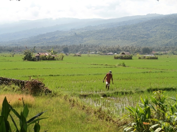 bali en lombok 653