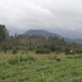 bali en lombok 685