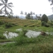 bali en lombok 688