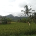 bali en lombok 689