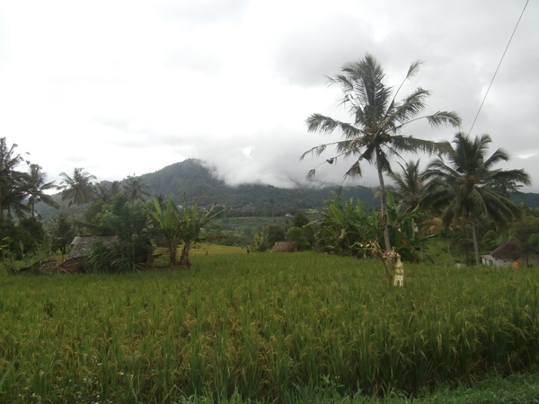 bali en lombok 689