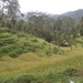 bali en lombok 691