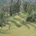 bali en lombok 692