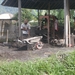 bali en lombok 698